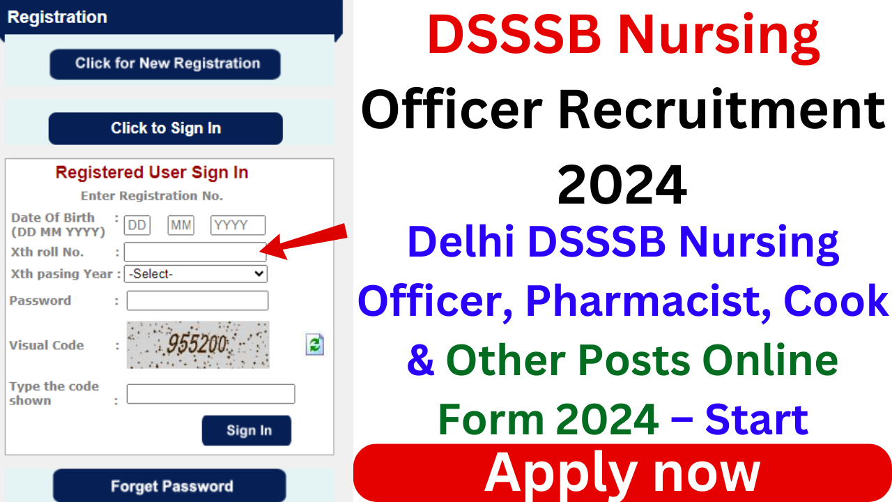 DSSSB Nursing Officer Recruitment 2024