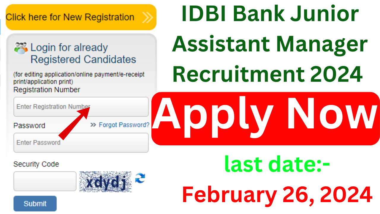 How to Fill IDBI Bank Junior Assistant Manager Online Form 2024